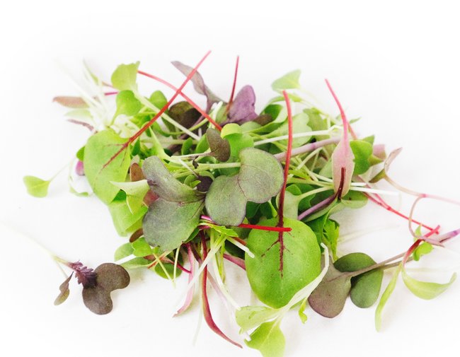 Micro-Mix